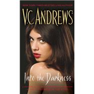 Into the Darkness 9781501137679
