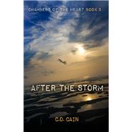 After the Storm 9781943837687