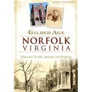 Gilded Age Norfolk, Virginia: Tidewater Wealth, Industry and Propriety 9781467117708