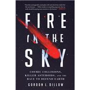 Fire in the Sky 9781501187759