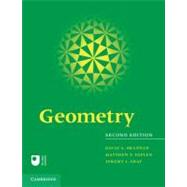 Geometry - David A.  Brannan