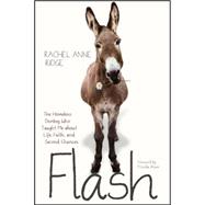 Flash 9781414397832