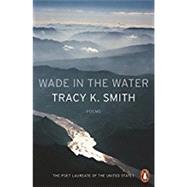 Wade in the Water 9780141987842