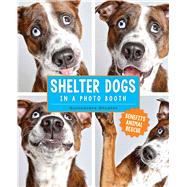 Shelter Dogs in a Photo Booth 9781449477844