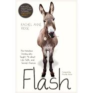 Flash 9781414397849