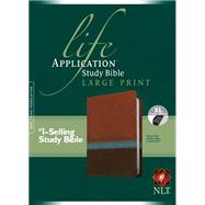 Holy Bible 9781496417893