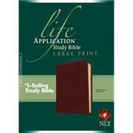 Holy Bible 9781496417909