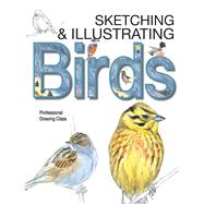 Sketching & Illustrating Birds: Professional Drawing Class 9780764167911