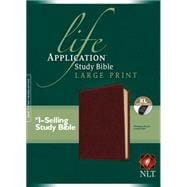 Holy Bible 9781496417916