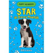 Star on Stormy Mountain 9781627797962