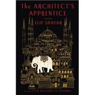 The Architect's Apprentice A Novel 9780525427971