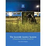 The Juvenile Justice System Delinquency, Processing, and the Law 9780135008058