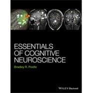 Essentials of Cognitive Neuroscience 9781118468067