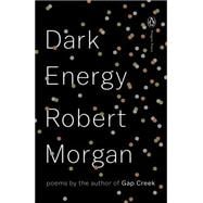 Dark Energy 9780143128069