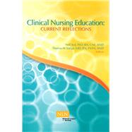Clinical Nursing Education Current Reflections 9781934758076