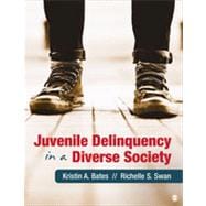 Juvenile Delinquency in a Diverse Society 9781412998123
