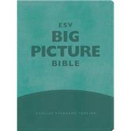 Big Picture Bible: English Standard Version, Teal, Trutone 9781433548123