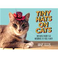 Tiny Hats on Cats 9781455558131