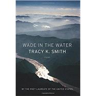 Wade in the Water 9781555978136