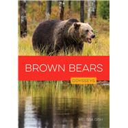 Brown Bears