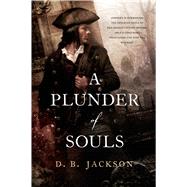 A Plunder of Souls 9780765338181