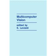 Multicomputer Vision