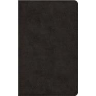 Holy Bible 9781433548208