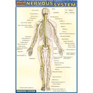 Nervous System Quick Reference Guide
