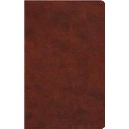 Holy Bible 9781433548215
