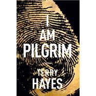 I Am Pilgrim 9781594138218