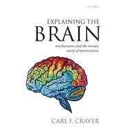 Explaining the Brain