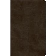 Holy Bible 9781433548222