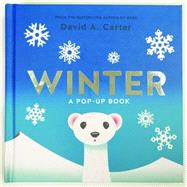 Winter 9781419718236