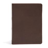 CSB She Reads Truth Bible, Brown Genuine Leather 9781433648236