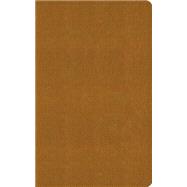 The Holy Bible 9781433548239