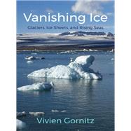 Vanishing Ice 9780231168243