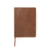 CSB She Reads Truth Bible, Brown Genuine Leather, Indexed 9781433648250