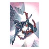 Astro City Vol. 12: Lovers Quarrel 9781401258252