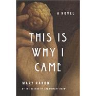 This Is Why I Came A Novel 9781619028289