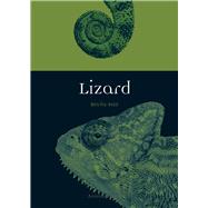Lizard