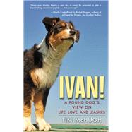 Ivan!