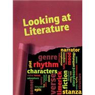 Looking at Literature 9781410968319