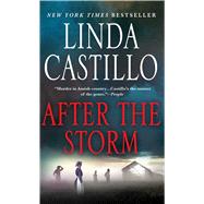 After the Storm A Kate Burkholder Novel 9781250078322