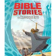 Bible Stories for Courageous Boys (padded cover) 9781433648342