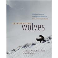 Yellowstone Wolves