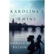 Karolina's Twins A Novel 9781250098375