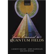 From Classical to Quantum Fields