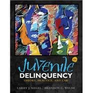 Juvenile Delinquency Theory, Practice, and Law 9781285458403