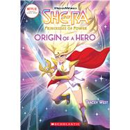 Origin of a Hero 9781338298413