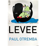 Levee